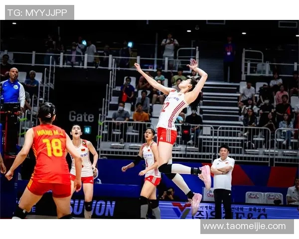 2019年女排南京总决赛中国队与波兰队精彩对决回顾与分析