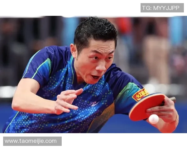 许昕与朱霖峰精彩对决42板GIF回顾展现乒乓球巅峰对抗的魅力与技巧